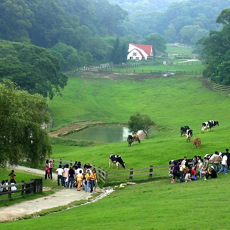 Flying Cow Ranch 호텔 퉁샤오진 외부 사진