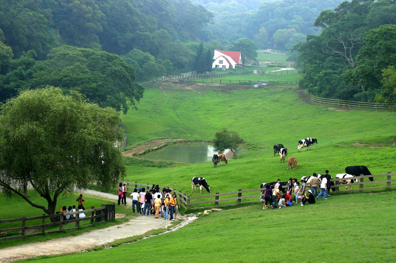 Flying Cow Ranch 호텔 퉁샤오진 외부 사진